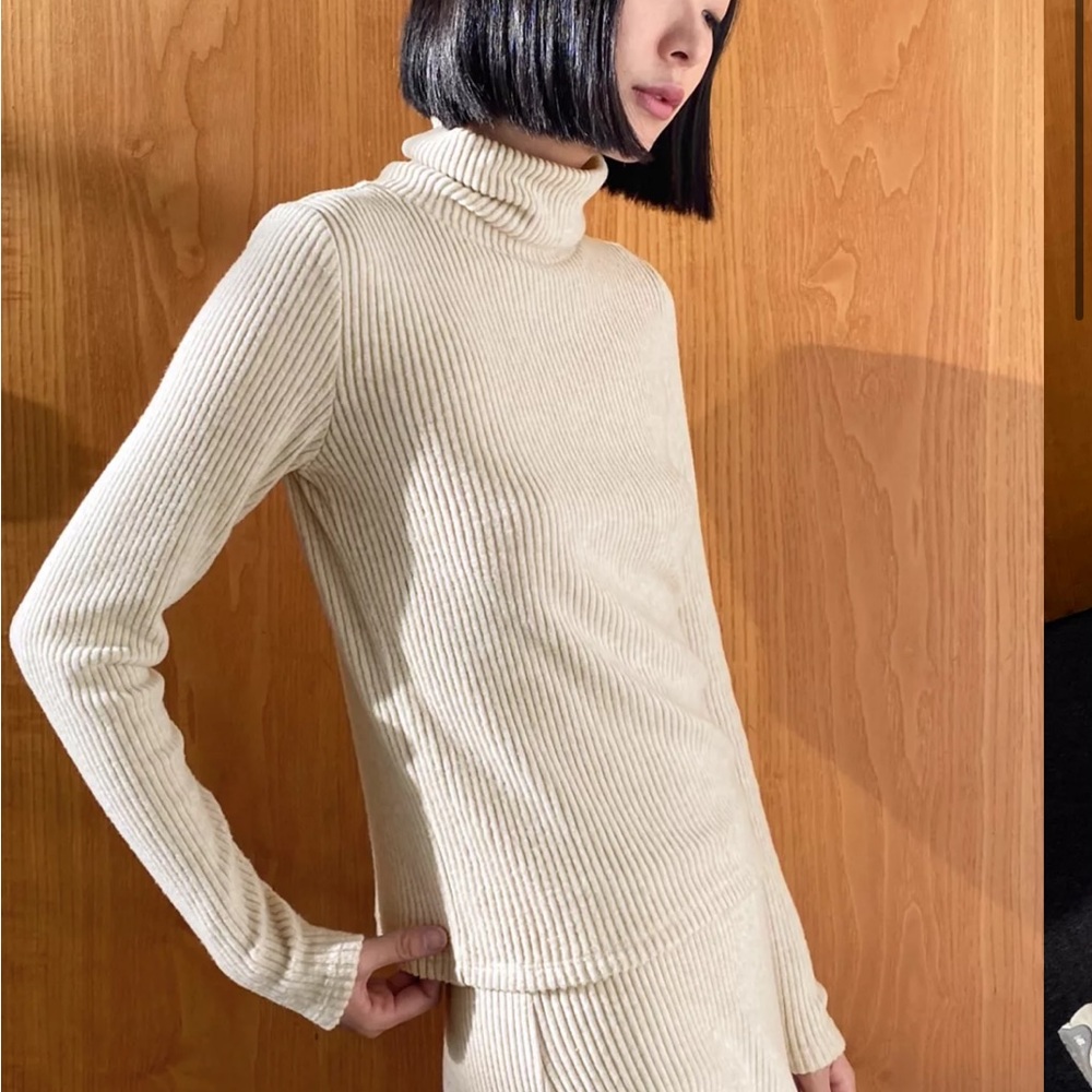 Aritzia The Group Babaton TRAVERSE Turtleneck long Sleeve